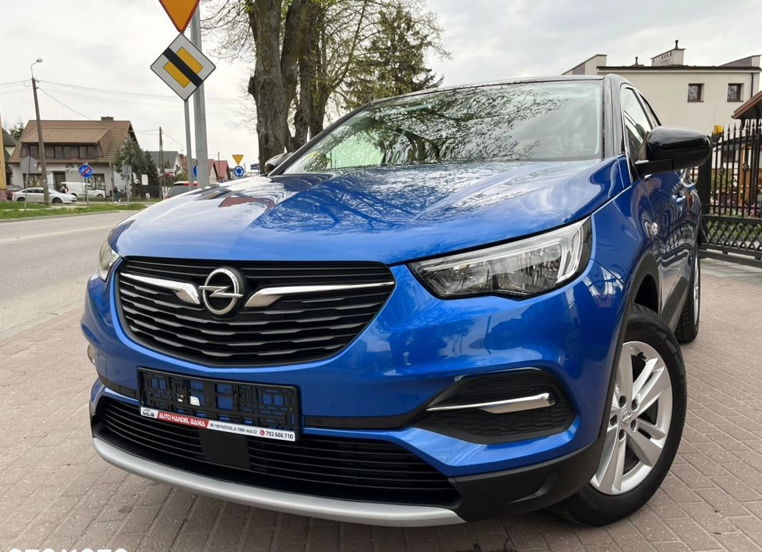Opel Grandland X cena 61900 przebieg: 173555, rok produkcji 2018 z Działdowo małe 781